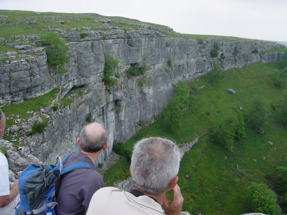 Can you see the falcon?